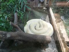 -上海大自然野生昆虫馆(东方明珠·爬宠昆虫探索中心)