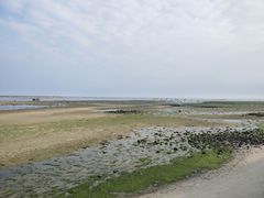 -北海金海湾红树林生态旅游区