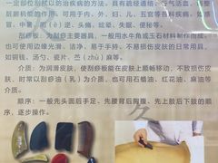 -广东中医药博物馆