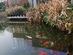 -天目湖涵田半山温泉