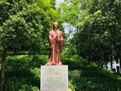 -广东中医药博物馆