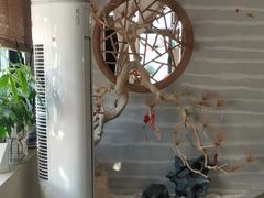 -红茶馆·棋牌·麻将(王庄店)