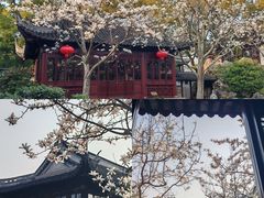 -豫园