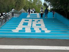 -日照海滨国家森林公园