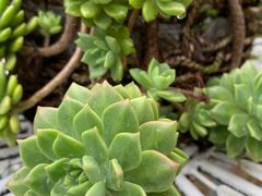 -锦至私房菜(长乐店)