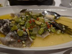 -南麓·浙里(外滩店)