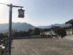 -大唐贡茶院