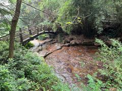 -铁山坪森林公园