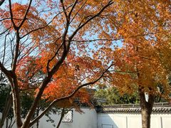 -秋霞圃
