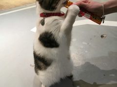 -小时光咖啡馆(开森度假森林店)