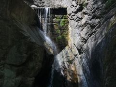 -牛背梁国家森林公园