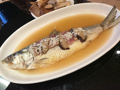 鲥鱼-新南华大酒店(广中店)