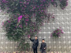 -云里小坐·小院里·团建·宴请·下午茶(三圣乡店)
