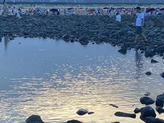 -长江澳风力发电景观区