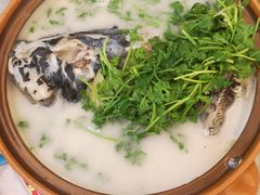 砂锅有机鱼头汤-千岛湖鱼味馆(十字街总店)
