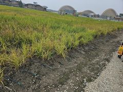 -中国天府农业博览园