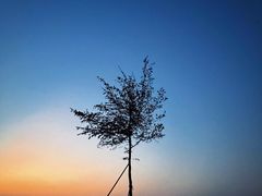 -白沙门生态公园