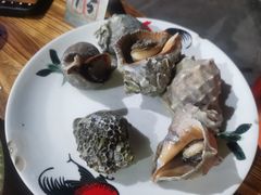 海螺-八方海味餐厅