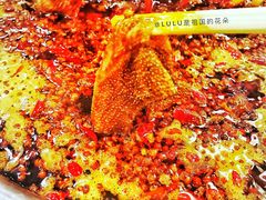 -朱氏胖子烂火锅(洪崖洞店)