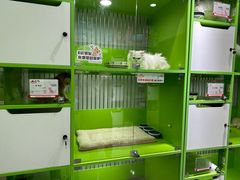 -唐小姐の猫狗洗护·购宠旗舰店(周浦万达店)