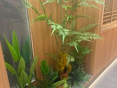 -东锅锅·田园松滋鸡(万龙店)