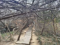 -采石矶景区