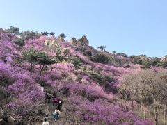 -青岛大珠山景区