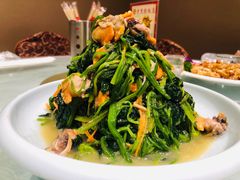 -老苏扬饭店