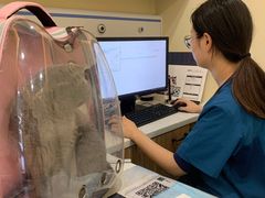 -萌兽医馆·犬猫专科·眼科中心·宠物医院(朝阳门分院)