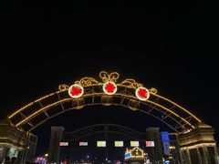 -武汉知音号