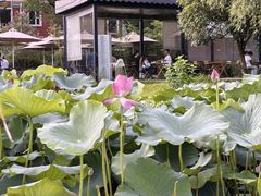 -美兰湖景区