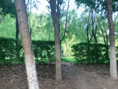 -长白岛森林公园