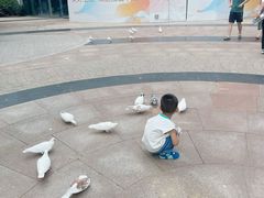 -中粮·祥云小镇