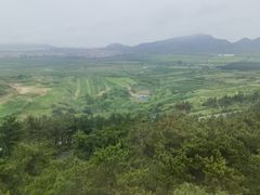 -摩天岭风景区