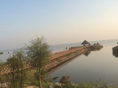 -哈素海