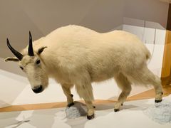 -陕西自然博物馆