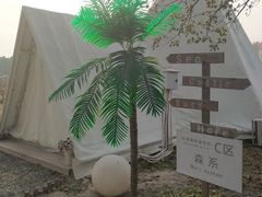 -安德鲁户外烧烤帐篷营地(马泉营店)