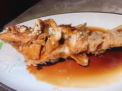 -新白鹿餐厅(金鹰新街口店)