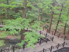 -国家植物园南园