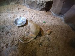 -酷嗒动物文化乐园(cutezoo西溪乐天城店)