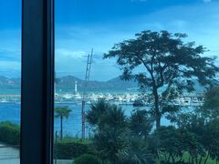 -希尔顿南海酒店·观廊大堂吧·海景下午茶