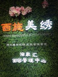 -西施无菌半永久纹绣眉眼影唇轻增发纹发际线