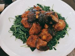 -五观堂素食(新华路店)
