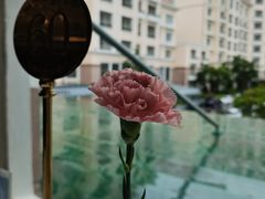 -青岛海景花园大酒店·粤海餐厅