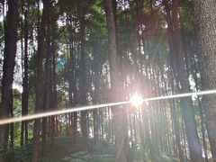 -金沙遗址博物馆
