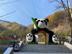 -栾川竹海野生动物园