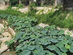 -静之湖度假区