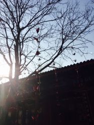 -颐和宾馆宴会厅