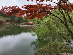 -四明山国家森林公园
