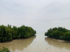 -深圳湾公园(南山区)